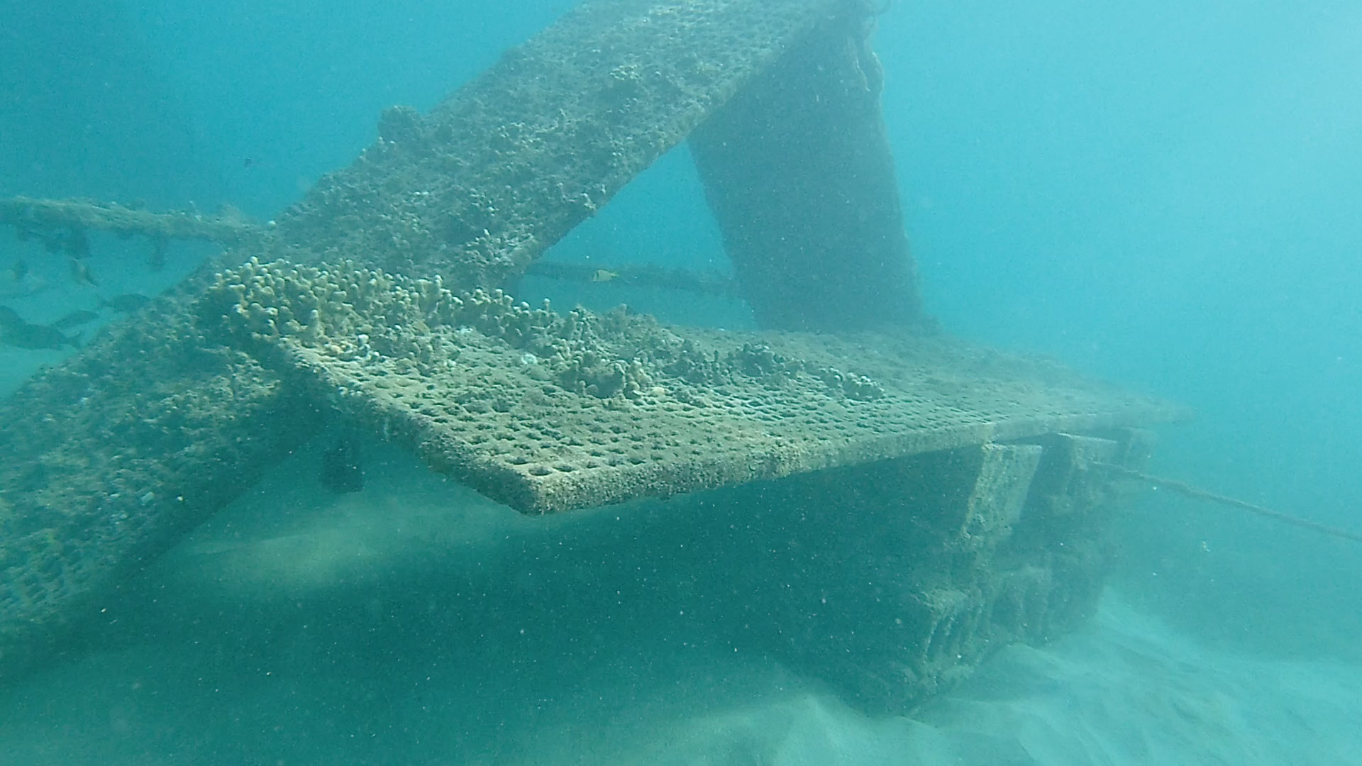 Scuba diving photo 2