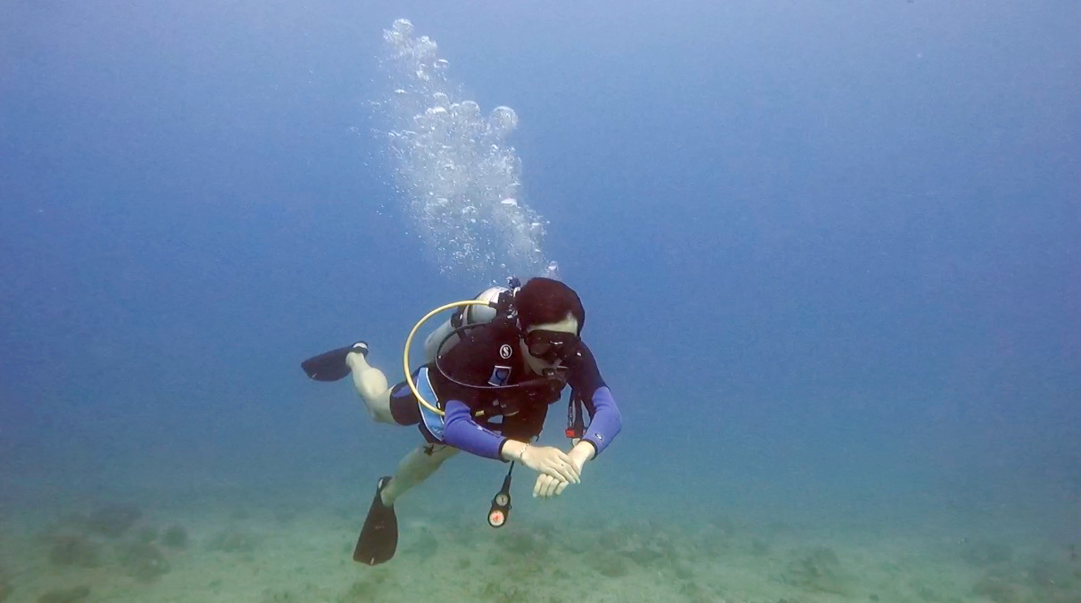 Scuba diving photo 3